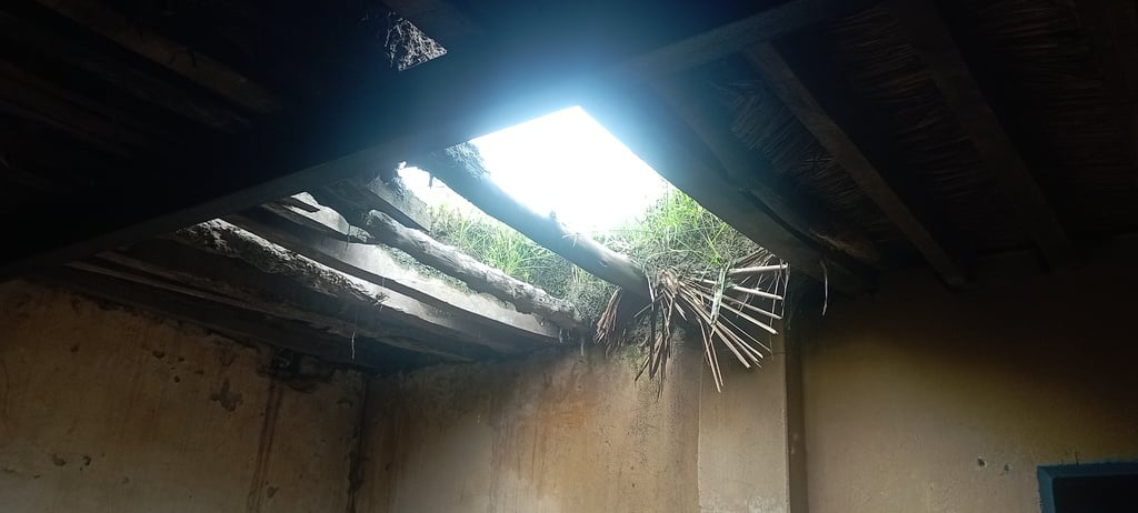 अरनिया। बारिश से क्षतिग्रस्त पिंकी देवी का घर