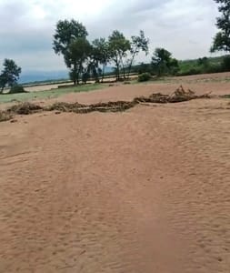 सोम नदी के पानी से खराब हुई फसल। संवाद सोम नदी के पानी से खराब हुई फसल। संवाद