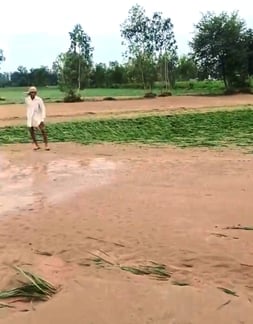 सोम नदी के पानी से खराब हुई फसल। संवाद सोम नदी के पानी से खराब हुई फसल। संवाद