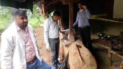 प्रतापगढ़ जिले के धमोतर थाना इलाके में दोहरा हत्याकांड का मामला प्रतापगढ़ जिले के धमोतर थाना इलाके में दोहरा हत्याकांड का मामला