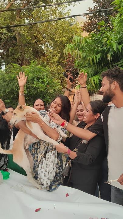 आवारा कुत्तों को लेकर सुप्रीम कोर्ट के आदेश के बाद केक काटकर जश्न मनाते पशु प्रेमी। आवारा कुत्तों को लेकर सुप्रीम कोर्ट के आदेश के बाद केक काटकर जश्न मनाते पशु प्रेमी।
