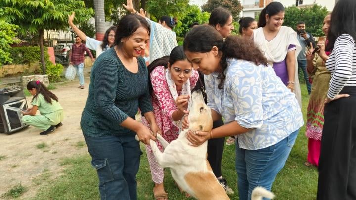 आवारा कुत्तों को लेकर सुप्रीम कोर्ट के आदेश के बाद केक काटकर जश्न मनाते पशु प्रेमी। आवारा कुत्तों को लेकर सुप्रीम कोर्ट के आदेश के बाद केक काटकर जश्न मनाते पशु प्रेमी।