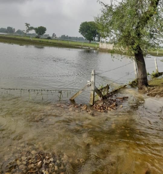 इटौंजा क्षेत्र में घट रहा बाढ़ का पानी।
