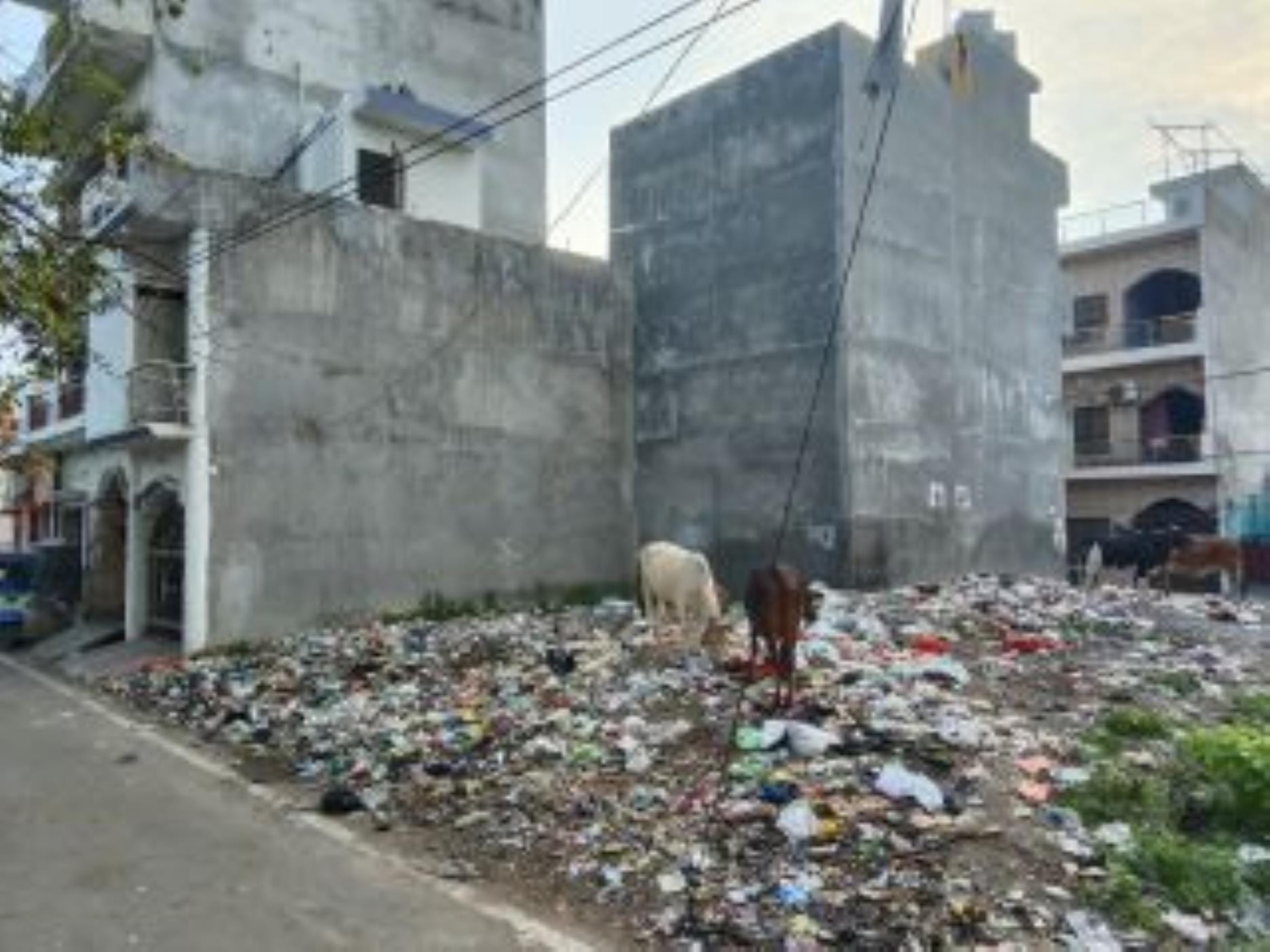 जानकीपुरम के सेक्टर-सात में गंदगी। जानकीपुरम के सेक्टर-सात में गंदगी।