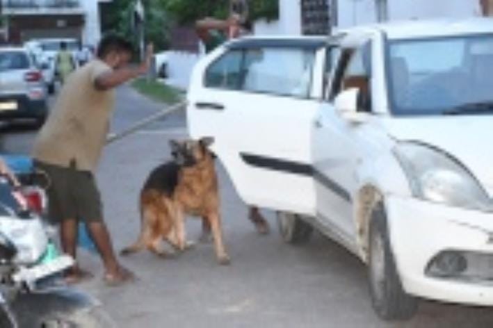 रवींद्रपल्ली इलाके में घटनास्थल पर जांच करती पुलिस व फोरेंसिक टीम। घर में मिले पालतू कुत्ते को 