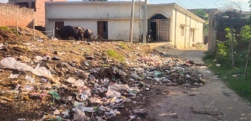 सुनील कुमार, बझेड़ा भागवानपुर।