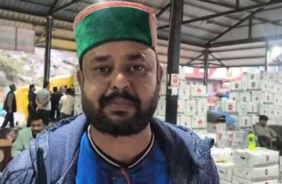 टापरी सब्जी मंडी में सेब की खरीददारी करते व्यापारी टापरी सब्जी मंडी में सेब की खरीददारी करते व्यापारी