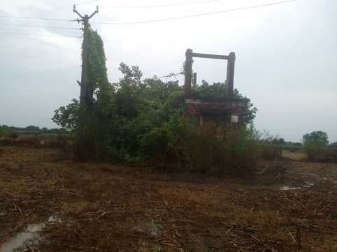 फोटो-25एयूआरपी 14- पूर्व सांसद डॉ. रामशंकर कठेरिया का स्वागत करते भाजपाई। स्रोत:कार्यकर्ता फोटो-25एयूआरपी 14- पूर्व सांसद डॉ. रामशंकर कठेरिया का स्वागत करते भाजपाई। स्रोत:कार्यकर्ता