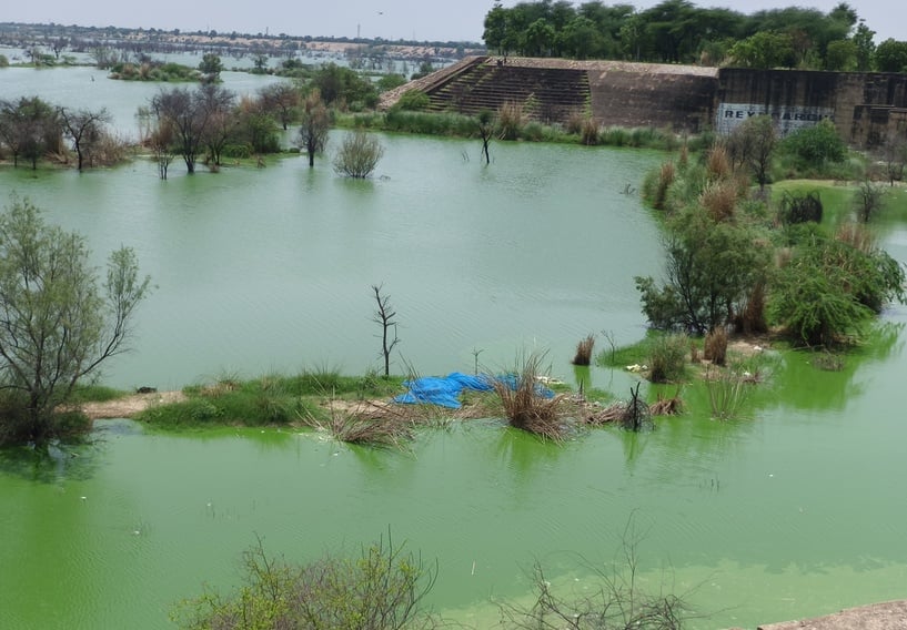 विधानसभा के मानसून सत्र में क्षेत्र की बात रखते विधायक लक्ष्मण सिंह यादव। स्रोत : प्रवक्ता