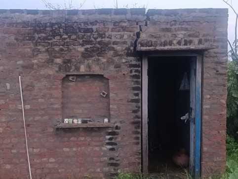 26jjrp17- तुंबाहेड़ी गांव में आसमानी बिजली गिरने के कारण मरी भैंस व काटड़ी। स्रोत-ग्रामीण