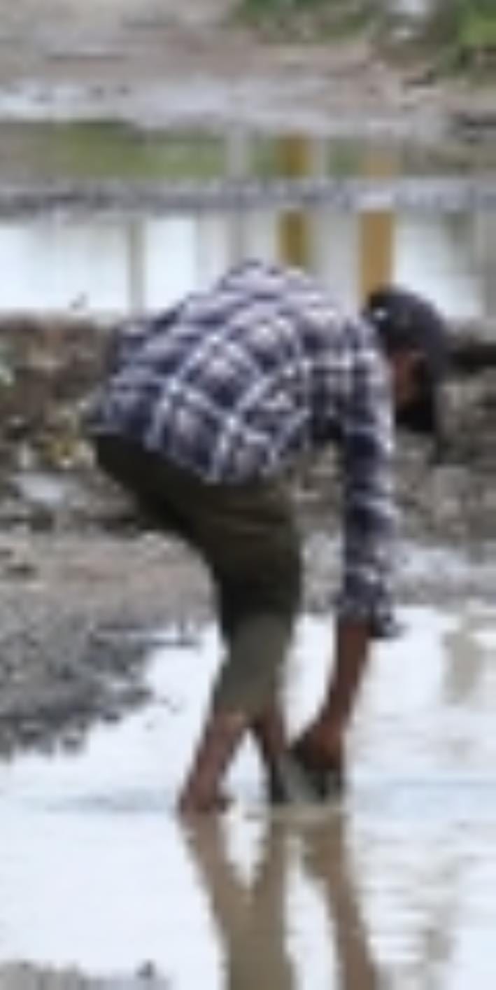 मलबा डालने के बाद बदहाल हुई सड़क। मलबा डालने के बाद बदहाल हुई सड़क।