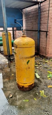  रोहतक के गिझी गांव में क्लोरीन गैस लीक होने से प्रभावित हुई धान की फसल दिखाते किसान। संवाद