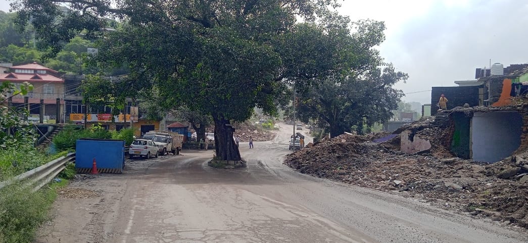 विनायकघाट में फोरलेन के लिए काटे गए वटवृक्ष। संवाद
