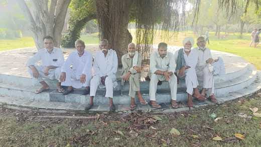 36 कैथल। चीका के ताऊ देवी लाल पार्क में विचर रहा गोवंश। संवाद