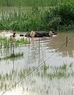 गांव हजारा की आबादी में भरा पानी वीडियोग्रेब