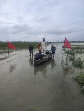 गांव हजारा की आबादी में भरा पानी वीडियोग्रेब
