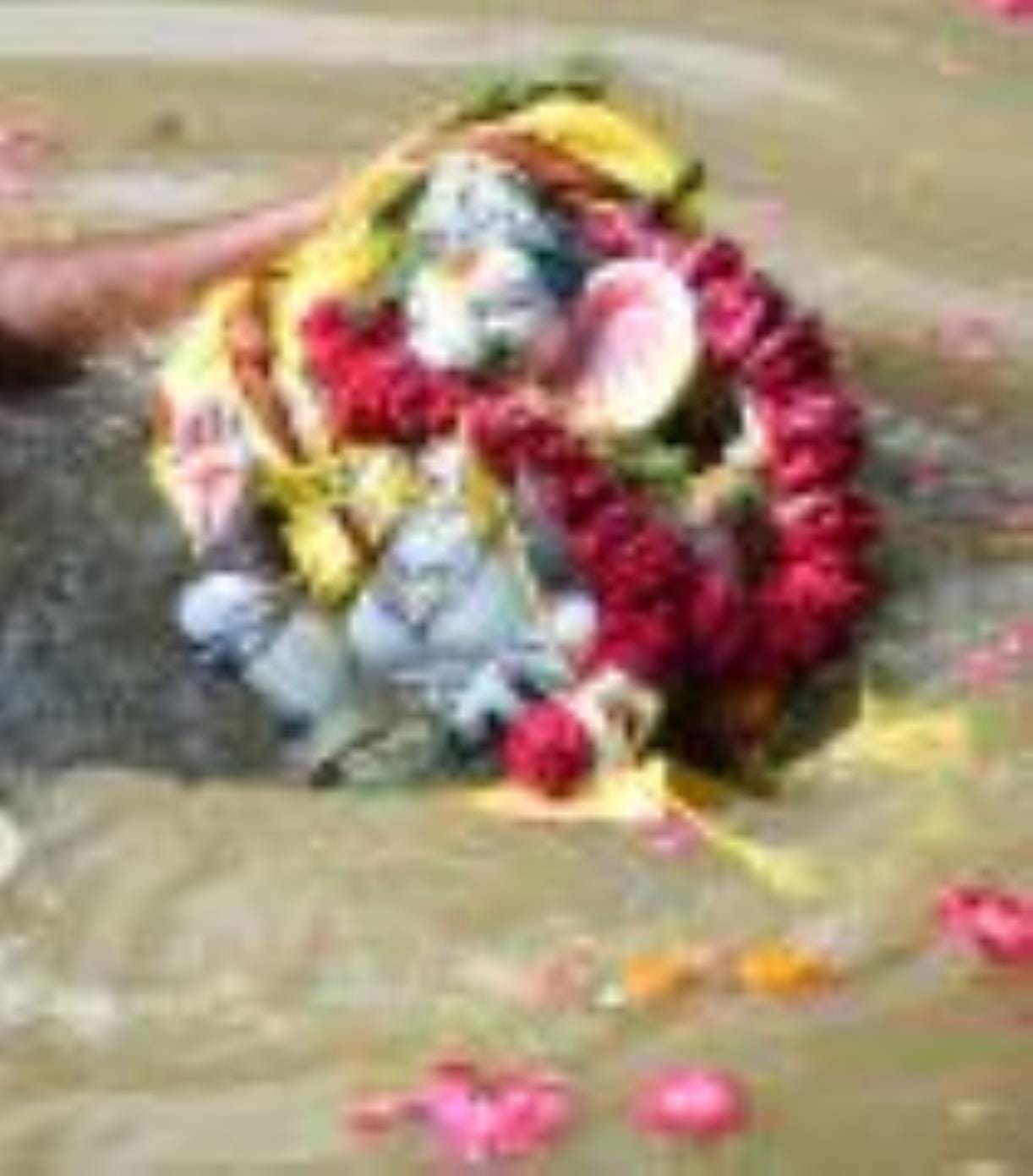 झूलेलालघाट, कुड़ियाघाट और खाटू श्याम मंदिर घाट पर सुबह से ही विसर्जन शुरू हो गया जो शाम तक जारी