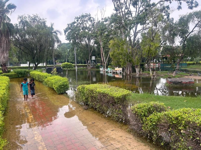 रोहतक के पंडित श्रीराम शर्मा पार्क में भरा बारिश का पानी। संवाद रोहतक के पंडित श्रीराम शर्मा पार्क में भरा बारिश का पानी। संवाद