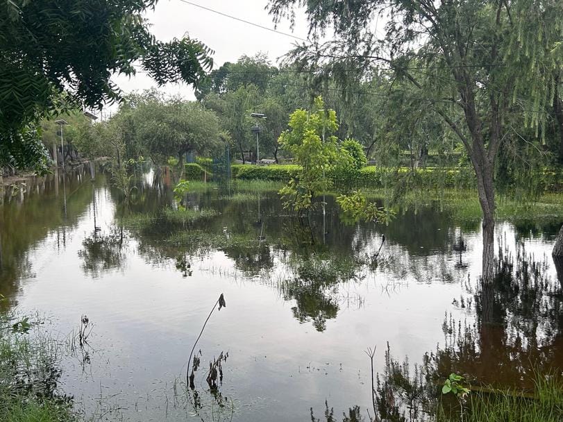 रोहतक के पंडित श्रीराम शर्मा पार्क में भरा बारिश का पानी। संवाद रोहतक के पंडित श्रीराम शर्मा पार्क में भरा बारिश का पानी। संवाद