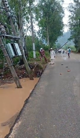 धनौरा में बारिश में खराब हुई फसल व जमा रेत।संवाद