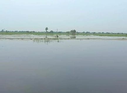 30 खेतों से मशीन व ट्रैक्टरों से मिट्टी लाने में जुटे भैणी सुरजन के ग्रामीण। संवाद 30 खेतों से मशीन व ट्रैक्टरों से मिट्टी लाने में जुटे भैणी सुरजन के ग्रामीण। संवाद