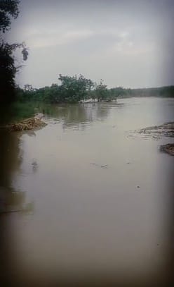 गांव हजार में हुआ जलभराव। स्रोत ग्रामीण