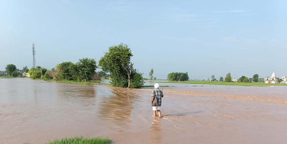 इस्माईलाबाद। गांव झांसा में मारकंडा नदी शनिवार को भी इस तरह उफनी रही। संवाद