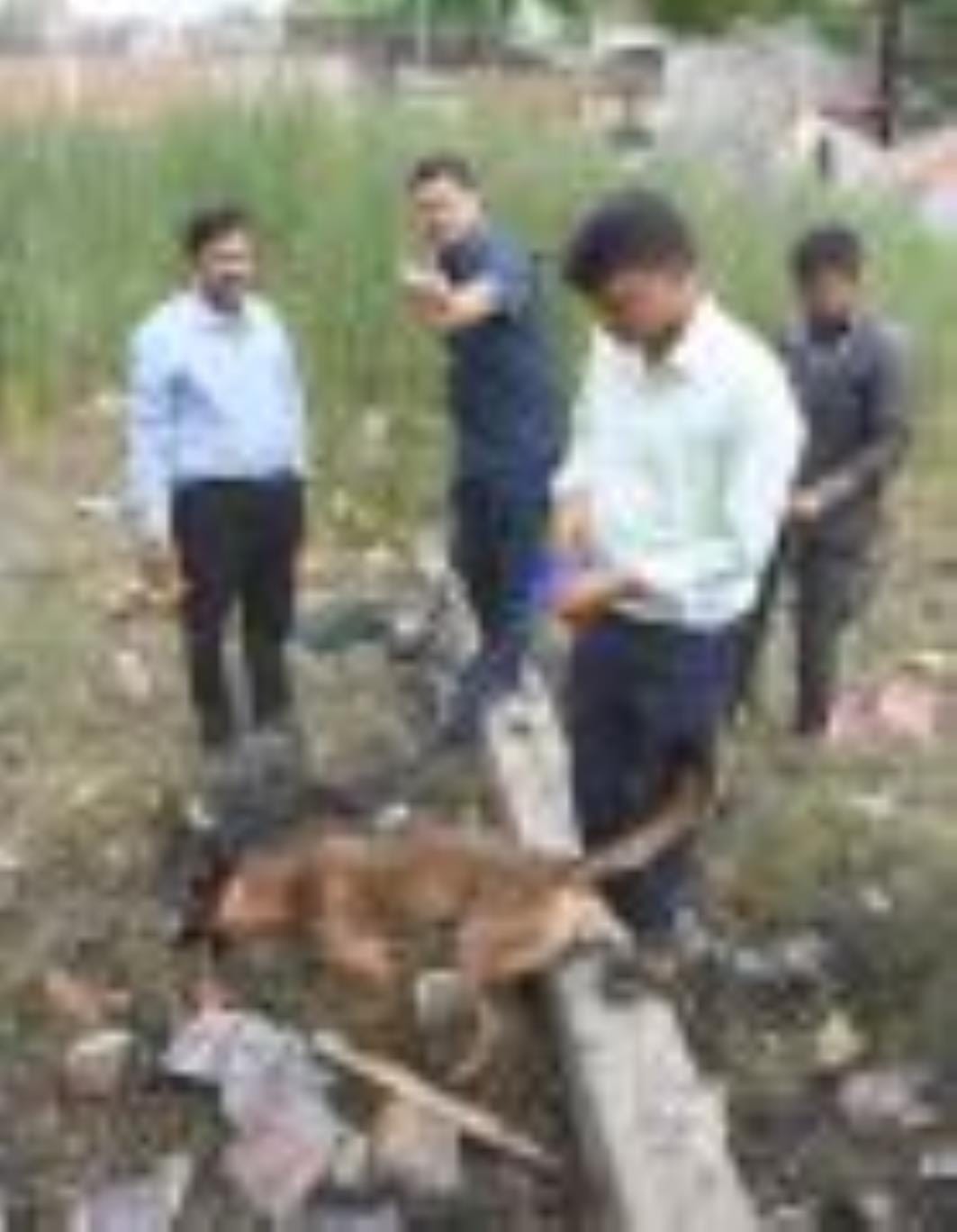 बेहटा में धमाका : दिखा हादसे का खौफनाक मंजर बेहटा में धमाका : दिखा हादसे का खौफनाक मंजर