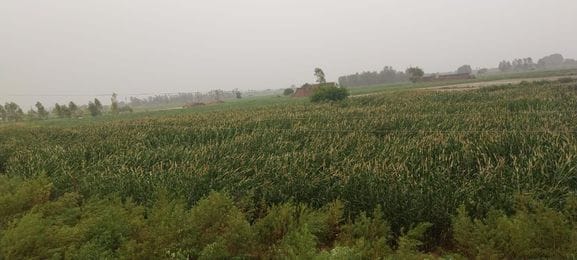 हयातनगर में प्रशांत की मौत से गम डूबा परिवार। संवाद