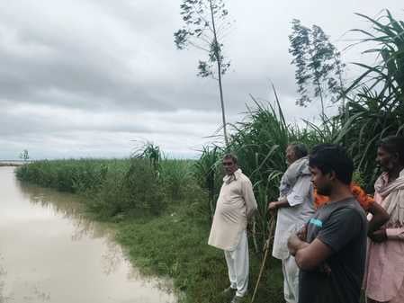 251... लल्लूपुरा गांव के खेतों में घुसा यमुना का पानी संवाद 251... लल्लूपुरा गांव के खेतों में घुसा यमुना का पानी संवाद