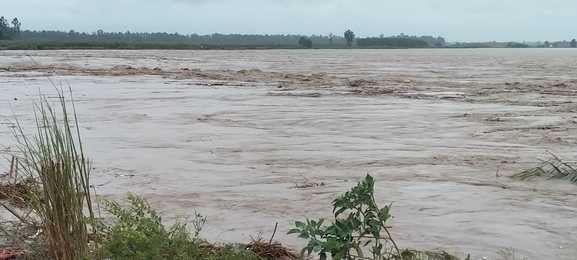 251... लल्लूपुरा गांव के खेतों में घुसा यमुना का पानी संवाद 251... लल्लूपुरा गांव के खेतों में घुसा यमुना का पानी संवाद