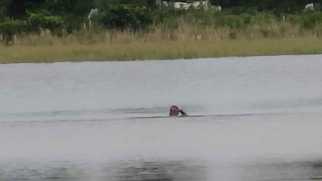 बिजली सुधारते हुए कर्मचारी