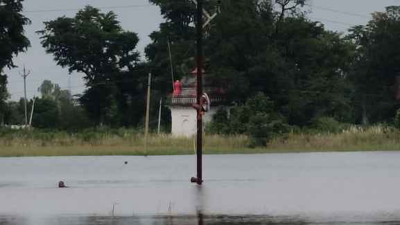 बिजली सुधारते हुए कर्मचारी