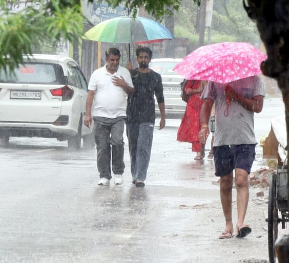 बिजनौर में सोमवार को बारिश में छाता लगाकर जाती युवती। संवाद बिजनौर में सोमवार को बारिश में छाता लगाकर जाती युवती। संवाद