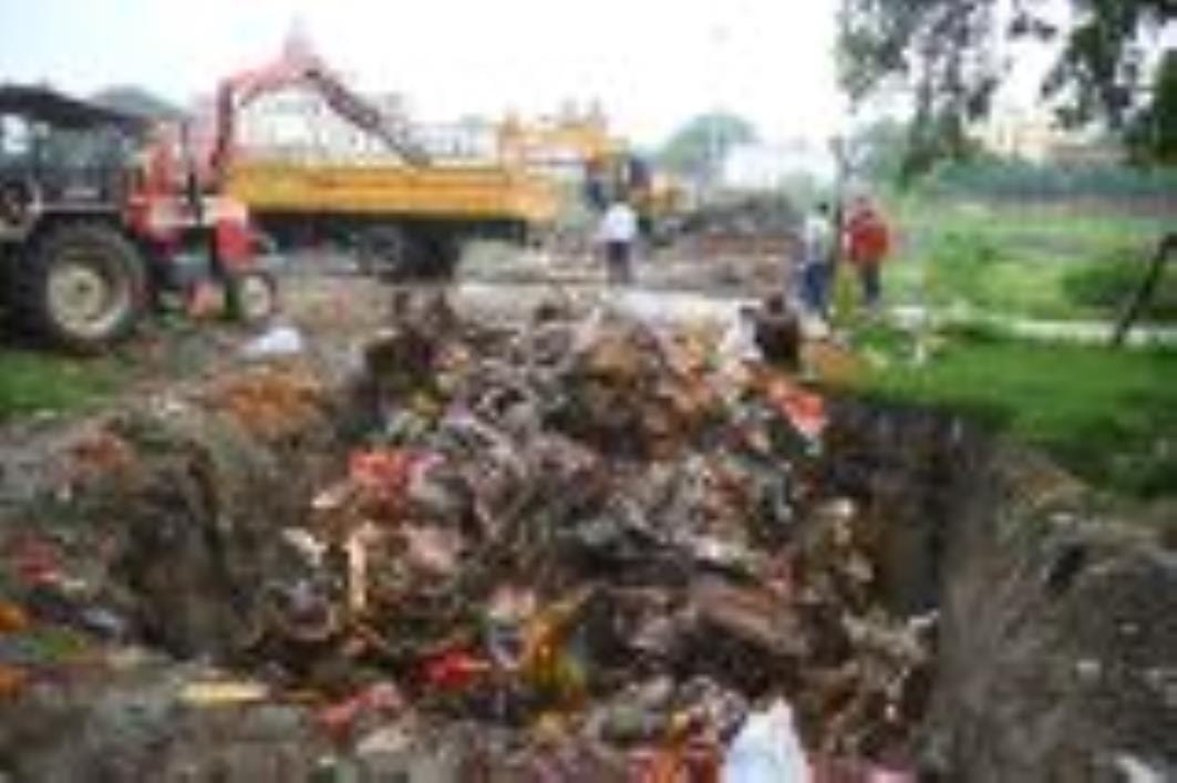 कहीं बप्पा को छप्पन भोग अर्पित किए जा रहे हैं, तो कहीं नगर भ्रमण के दौरान भक्तों पर फूलों की वर कहीं बप्पा को छप्पन भोग अर्पित किए जा रहे हैं, तो कहीं नगर भ्रमण के दौरान भक्तों पर फूलों की वर
