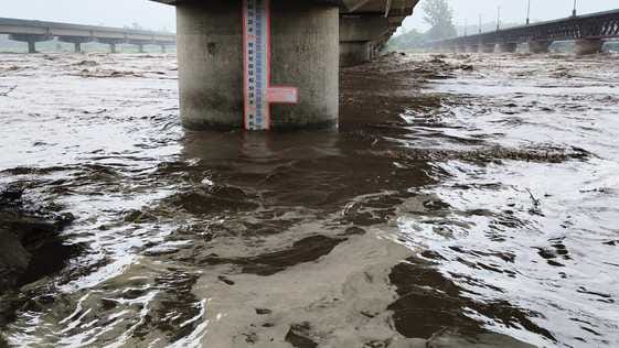 कलानौर के पास यमुना के किनारे पर हुआ कटाव। संवाद
