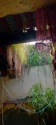 126... इंद्री गांव कलसौरा में बल्ली के सहारे रोकी गई छत्त की कंडियां। संवाद 126... इंद्री गांव कलसौरा में बल्ली के सहारे रोकी गई छत्त की कंडियां। संवाद