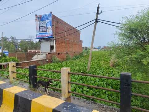 अंबाला-जगाधरी हाईवे पर ओद्यौगिक क्षेत्र के बाहर आया पानी व जलखुंभी: संवाद अंबाला-जगाधरी हाईवे पर ओद्यौगिक क्षेत्र के बाहर आया पानी व जलखुंभी: संवाद
