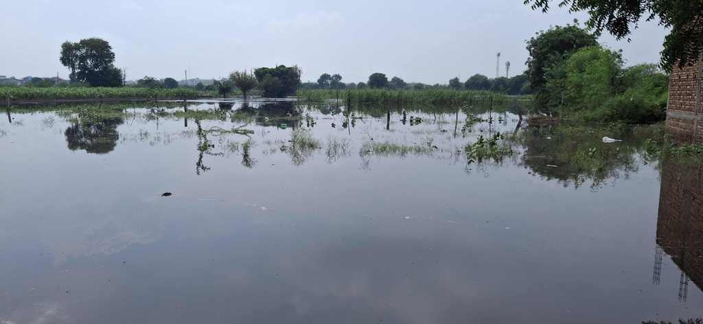 -फोटो 60 : छोटूराम नगर में रास्ता बनाने में जुटे कर्मचारी। संवाद -फोटो 60 : छोटूराम नगर में रास्ता बनाने में जुटे कर्मचारी। संवाद
