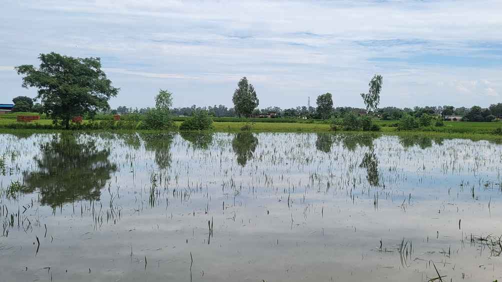मुलाना में कालपी फ्लाईओवर के नजदीक नेशनल हाईवे की एक तरफ जलभराव। संवाद