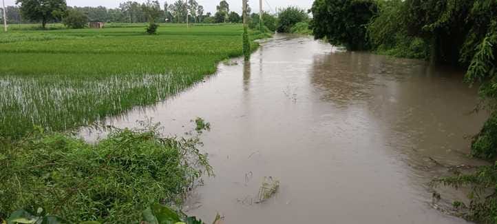 111.... खेतों में जमा बारिश का पानी। संवाद