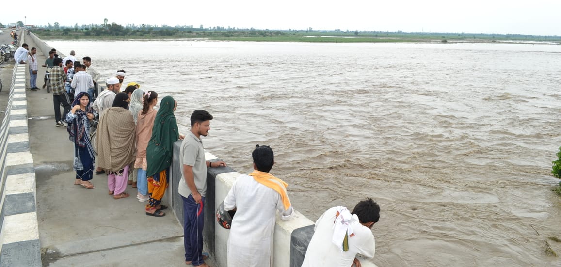 111.... खेतों में जमा बारिश का पानी। संवाद