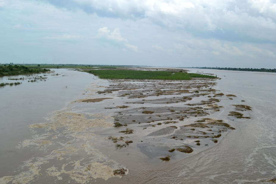 111.... खेतों में जमा बारिश का पानी। संवाद