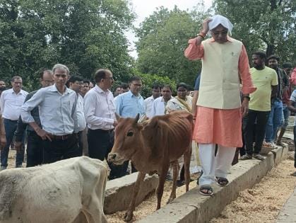 पशुधन मंत्री धर्मपाल सिंह ने बीकेटी की गोशलाओं का जायजा लिया। अव्यवस्था देख वह नाराज हुए। इस दौ