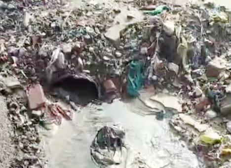 सीवरेज पानी में डूबे पौधे। संवाद