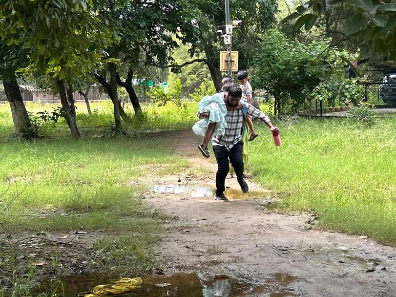 12 लघु चिड़ियाघर के काला हिरण पिंजरे में भरा पानी। संवाद 12 लघु चिड़ियाघर के काला हिरण पिंजरे में भरा पानी। संवाद