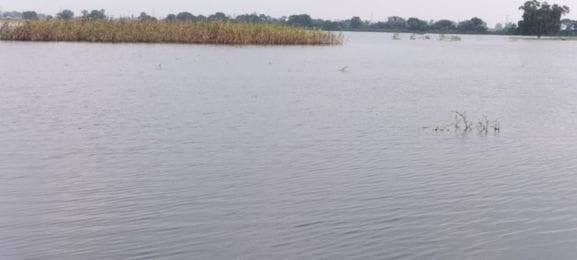 29 खेड़ी महम में मकान गिरने के बाद हुए नुकसान को दिखाता ग्रामीण। संवाद 29 खेड़ी महम में मकान गिरने के बाद हुए नुकसान को दिखाता ग्रामीण। संवाद
