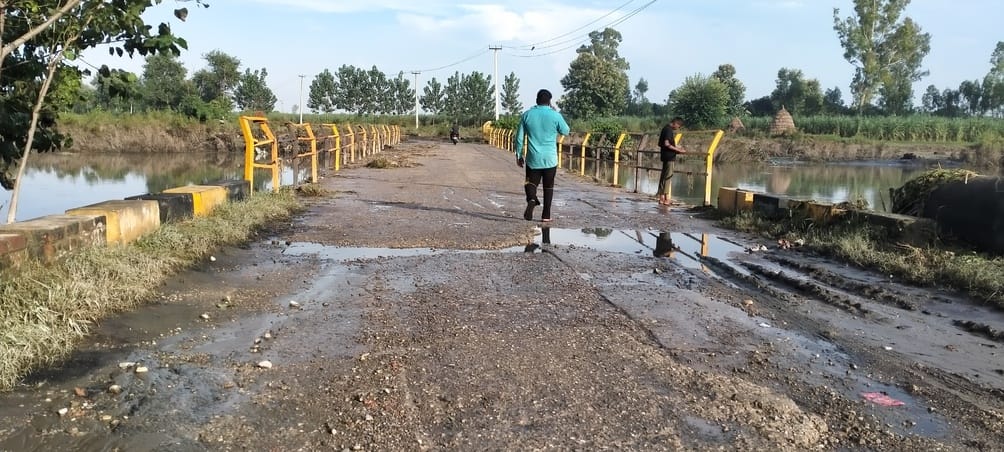 501....खेत में आए यमुना के पानी के बीच किसान। संवाद 501....खेत में आए यमुना के पानी के बीच किसान। संवाद