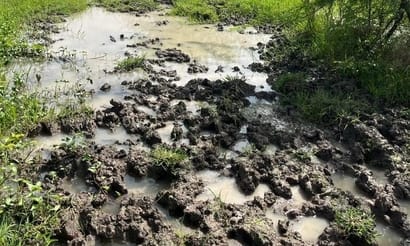 फोटो - 01 छानी गांव में नहर किनारे युवक का अंतिम संस्कार करते ग्रामीण। संवाद फोटो - 01 छानी गांव में नहर किनारे युवक का अंतिम संस्कार करते ग्रामीण। संवाद