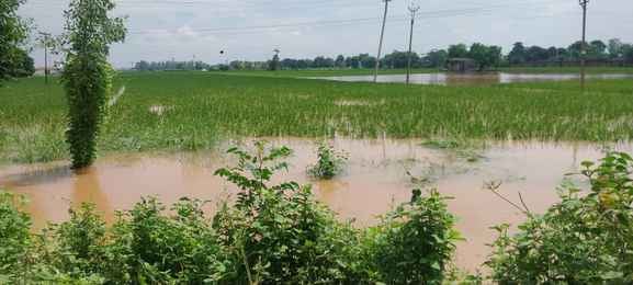 इस्माईलाबाद। गांव नैसी से जलबहेड़ा जाने वाली सडक़ पर दो से ढाई फीट तक बहता रहा पानी, जिससे लोगों इस्माईलाबाद। गांव नैसी से जलबहेड़ा जाने वाली सडक़ पर दो से ढाई फीट तक बहता रहा पानी, जिससे लोगों